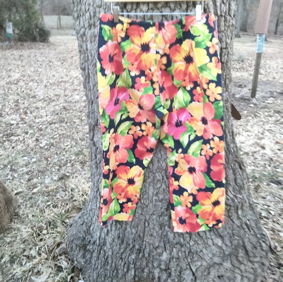 ⬇️ Price Drop!⬇️Evan Picone Capris in size 14 - Picture 2 of 3